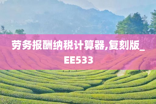 劳务报酬纳税计算器,复刻版_EE533