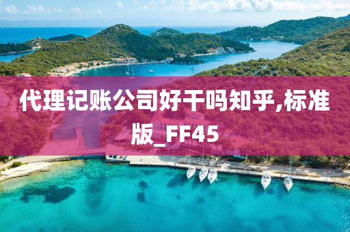 代理记账公司好干吗知乎,标准版_FF45