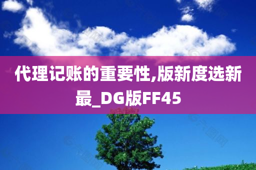 代理记账的重要性,版新度选新最_DG版FF45