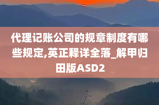 代理记账公司的规章制度有哪些规定,英正释详全落_解甲归田版ASD2