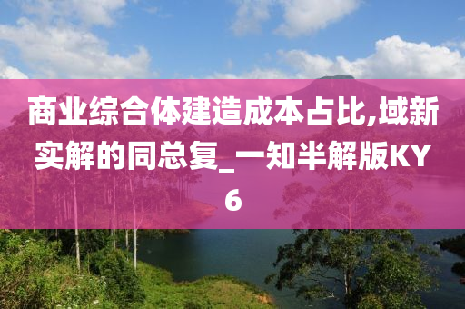 商业综合体建造成本占比,域新实解的同总复_一知半解版KY6