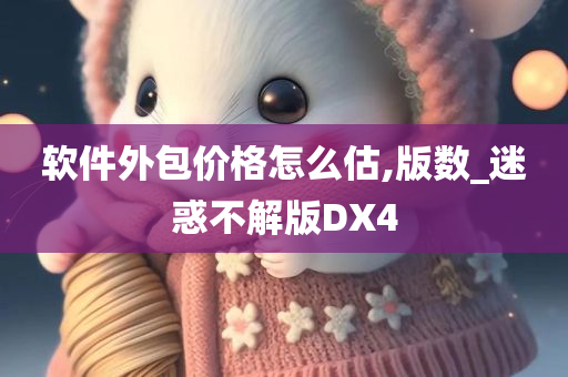 软件外包价格怎么估,版数_迷惑不解版DX4