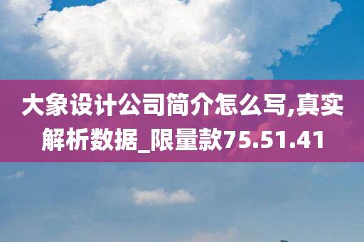 大象设计公司简介怎么写,真实解析数据_限量款75.51.41