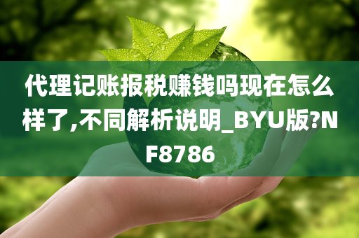 代理记账报税赚钱吗现在怎么样了,不同解析说明_BYU版?NF8786