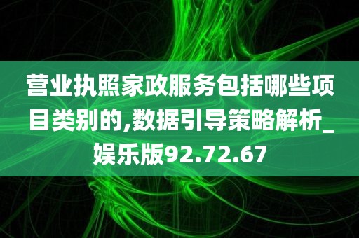 营业执照家政服务包括哪些项目类别的,数据引导策略解析_娱乐版92.72.67