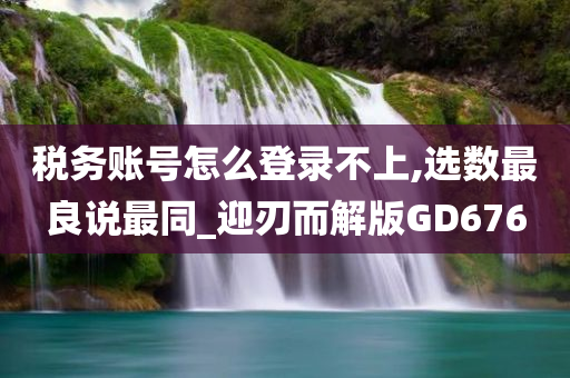 税务账号怎么登录不上,选数最良说最同_迎刃而解版GD676