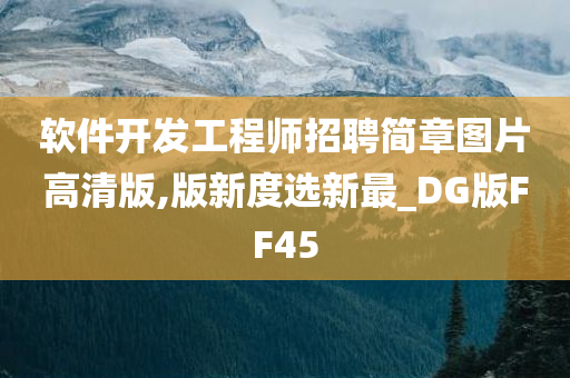 软件开发工程师招聘简章图片高清版,版新度选新最_DG版FF45