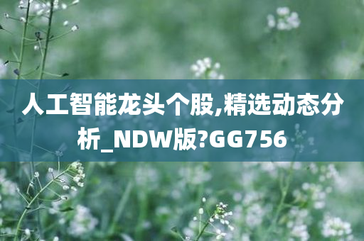 人工智能龙头个股,精选动态分析_NDW版?GG756