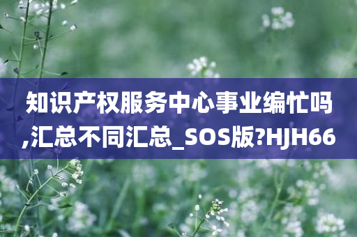 知识产权服务中心事业编忙吗,汇总不同汇总_SOS版?HJH66