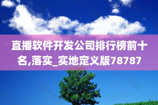 直播软件开发公司排行榜前十名,落实_实地定义版78787