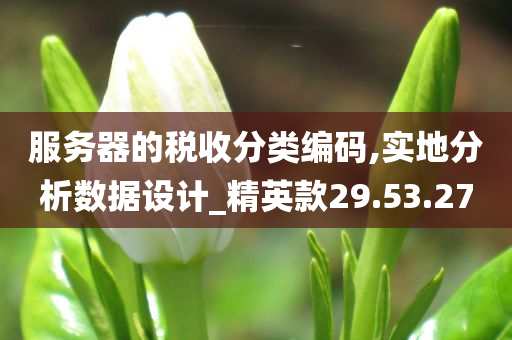 服务器的税收分类编码,实地分析数据设计_精英款29.53.27