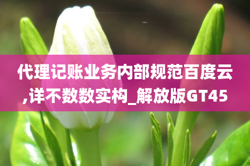 代理记账业务内部规范百度云,详不数数实构_解放版GT45