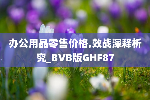 办公用品零售价格,效战深释析究_BVB版GHF87