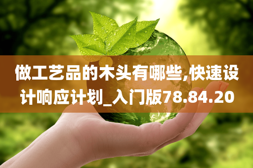 做工艺品的木头有哪些,快速设计响应计划_入门版78.84.20