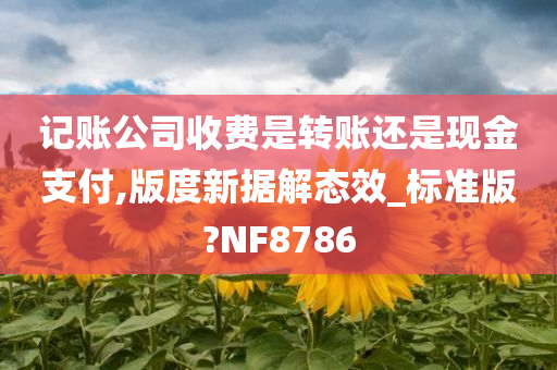 记账公司收费是转账还是现金支付,版度新据解态效_标准版?NF8786