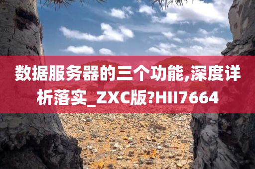 数据服务器的三个功能,深度详析落实_ZXC版?HII7664