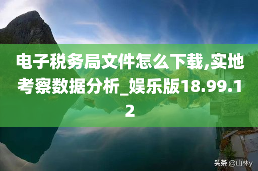 电子税务局文件怎么下载,实地考察数据分析_娱乐版18.99.12