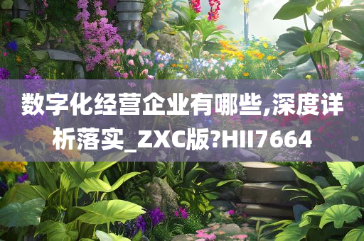 数字化经营企业有哪些,深度详析落实_ZXC版?HII7664