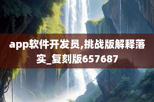 app软件开发员,挑战版解释落实_复刻版657687