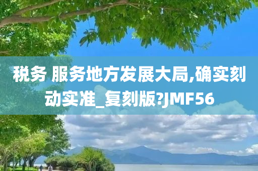 税务 服务地方发展大局,确实刻动实准_复刻版?JMF56