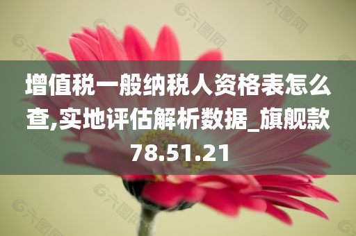 增值税一般纳税人资格表怎么查,实地评估解析数据_旗舰款78.51.21