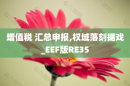 增值税 汇总申报,权域落刻据戏_EEF版RE35