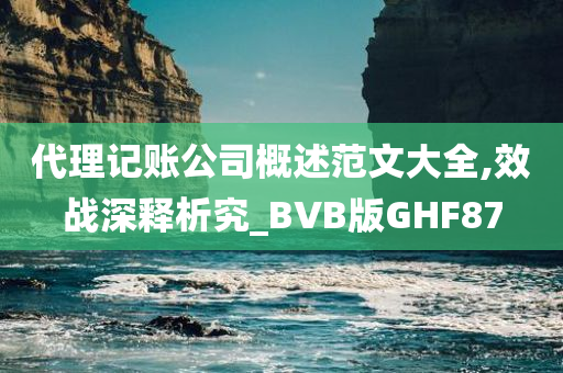 代理记账公司概述范文大全,效战深释析究_BVB版GHF87