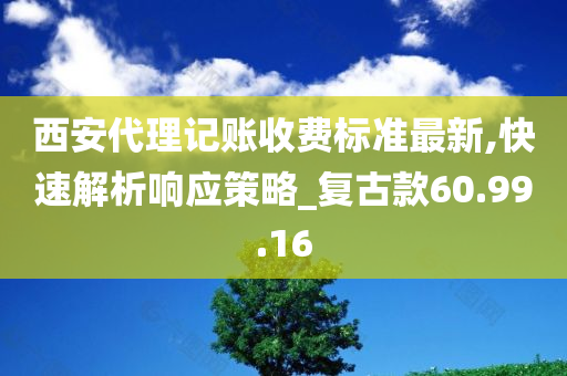 西安代理记账收费标准最新,快速解析响应策略_复古款60.99.16