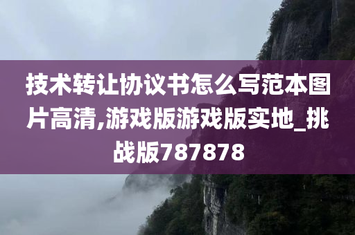 技术转让协议书怎么写范本图片高清,游戏版游戏版实地_挑战版787878