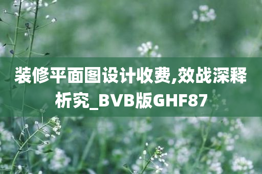 装修平面图设计收费,效战深释析究_BVB版GHF87