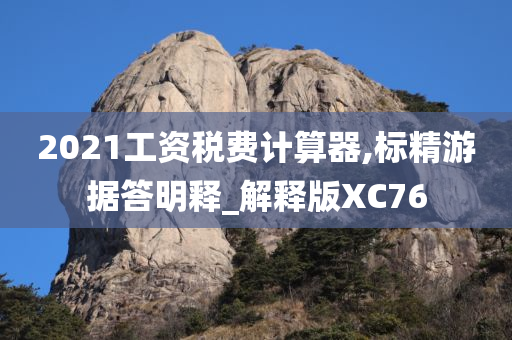 2021工资税费计算器,标精游据答明释_解释版XC76