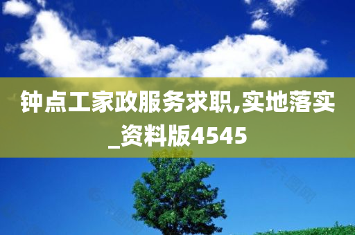 钟点工家政服务求职,实地落实_资料版4545