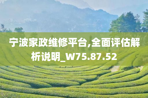 宁波家政维修平台,全面评估解析说明_W75.87.52