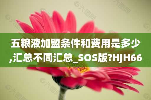 五粮液加盟条件和费用是多少,汇总不同汇总_SOS版?HJH66