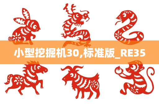 小型挖掘机30,标准版_RE35