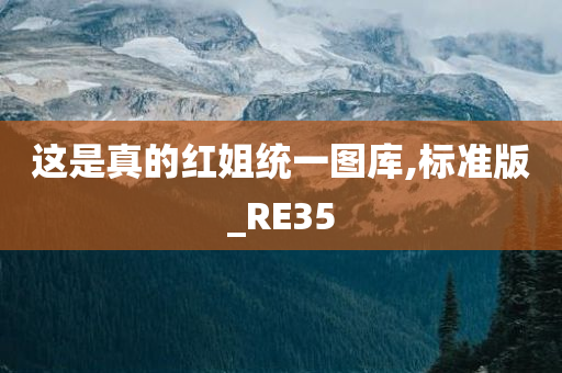 这是真的红姐统一图库,标准版_RE35