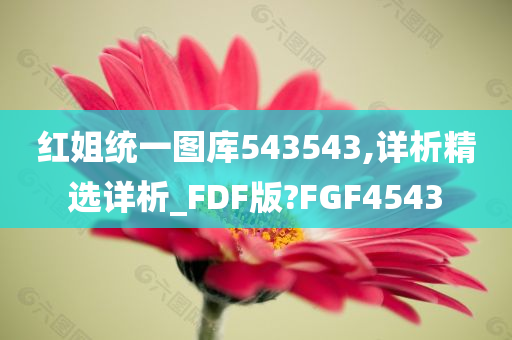 红姐统一图库543543,详析精选详析_FDF版?FGF4543