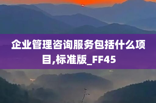 企业管理咨询服务包括什么项目,标准版_FF45