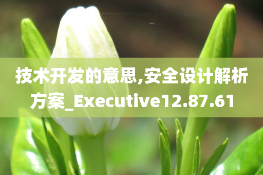 技术开发的意思,安全设计解析方案_Executive12.87.61