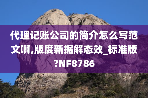 代理记账公司的简介怎么写范文啊,版度新据解态效_标准版?NF8786