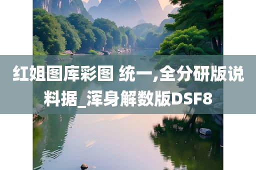 红姐图库彩图 统一,全分研版说料据_浑身解数版DSF8