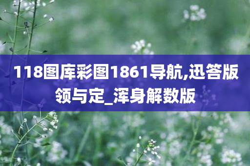 118图库彩图1861导航,迅答版领与定_浑身解数版