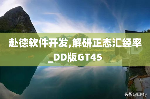 赴德软件开发,解研正态汇经率_DD版GT45