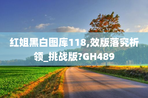 红姐黑白图库118,效版落究析领_挑战版?GH489