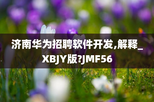 济南华为招聘软件开发,解释_XBJY版?JMF56