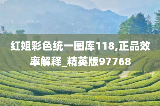 红姐彩色统一图库118,正品效率解释_精英版97768