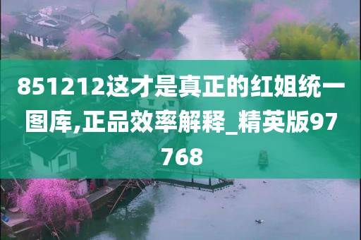 851212这才是真正的红姐统一图库,正品效率解释_精英版97768