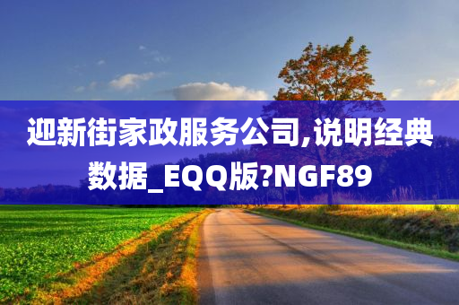 迎新街家政服务公司,说明经典数据_EQQ版?NGF89