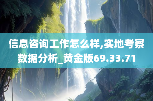 信息咨询工作怎么样,实地考察数据分析_黄金版69.33.71