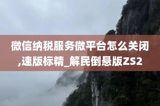 微信纳税服务微平台怎么关闭,速版标精_解民倒悬版ZS2